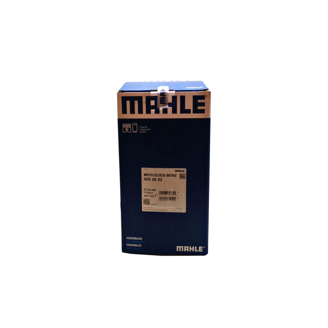 MAHLE - Image 1